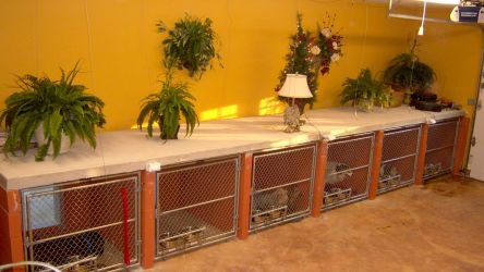 Puppy deals dog kennels